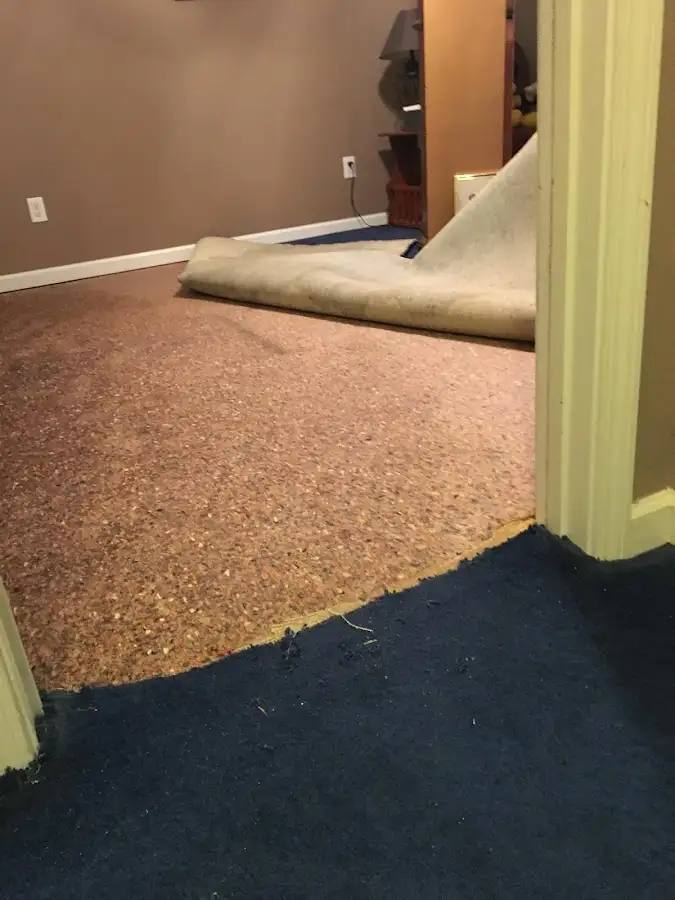Carpet pad removal revealing water damage during Drying & Dehumidification in Church Hill