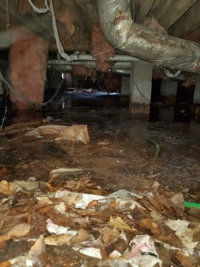 Crawl space flood assessment for Commercial Water Damage Restoration in Church Hill